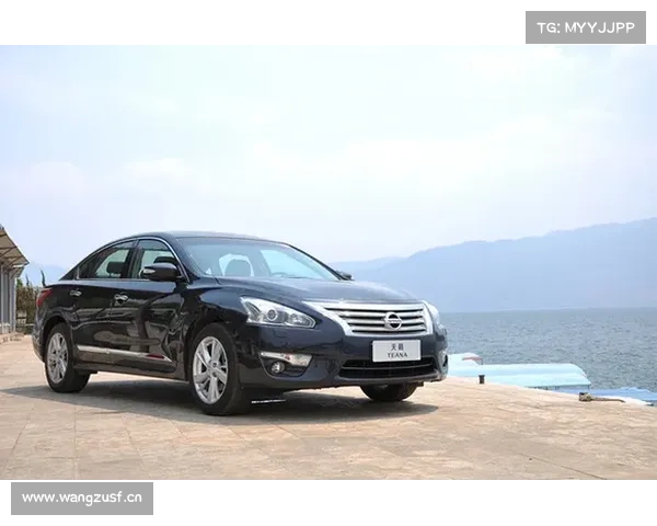 “豹式驾控” 触手可及 试驾日产新天籁 “豹式驾控” 触手可及 试驾日产新天籁