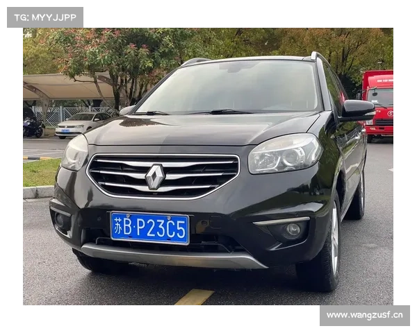 你不知道的雷诺科雷傲发动机的越野设计 你不知道的雷诺科雷傲发动机的越野设计