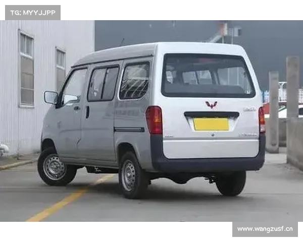 体验五菱之光实用型,售价3.51万,中置后驱7座布局,皮实又实用 体验五菱之光实用型,售价3.51万,中置后驱7座布局,皮实又实用